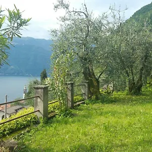  Casa vacanze Gli Ulivi Di